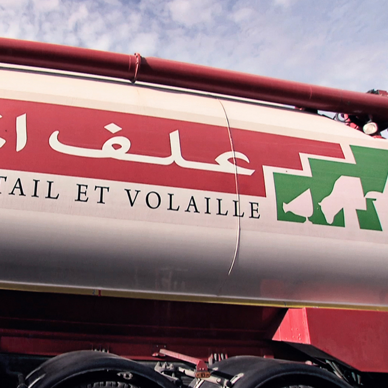 Animal feed transport truck with the Group’s brand ‘Alf Al Maghrib’