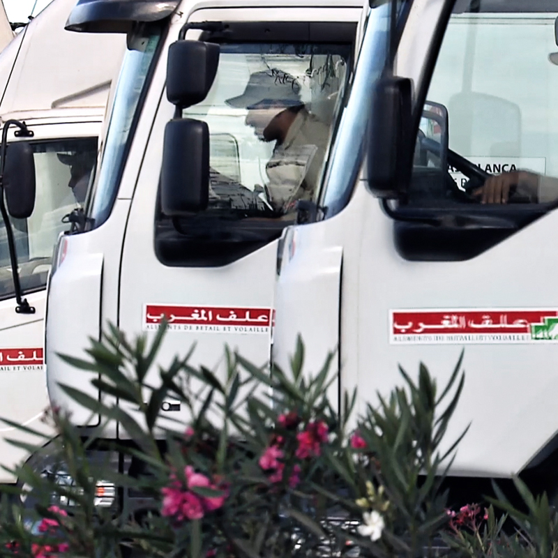 Camion de transport d’aliment sous la marque Alf Al Maghrib